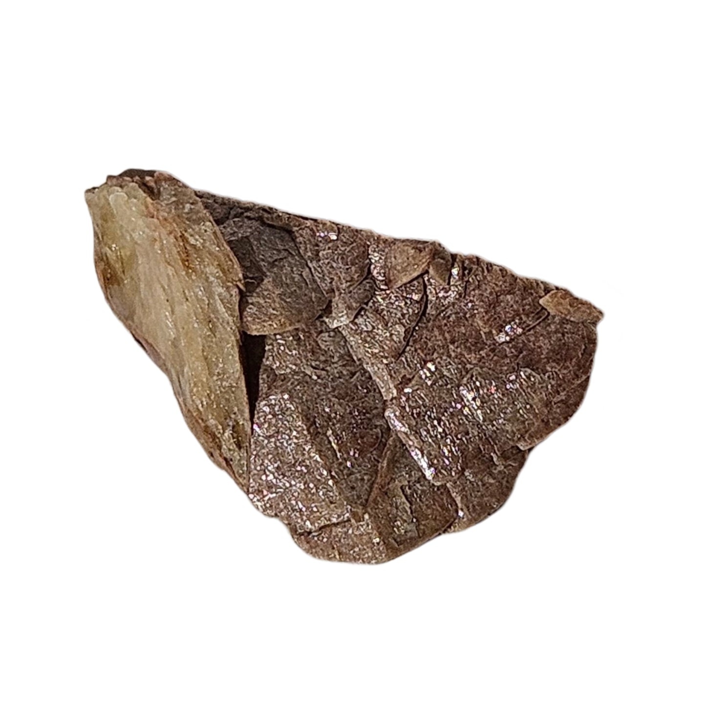 Brown Herderite (1)