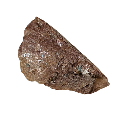 Brown Herderite (1)