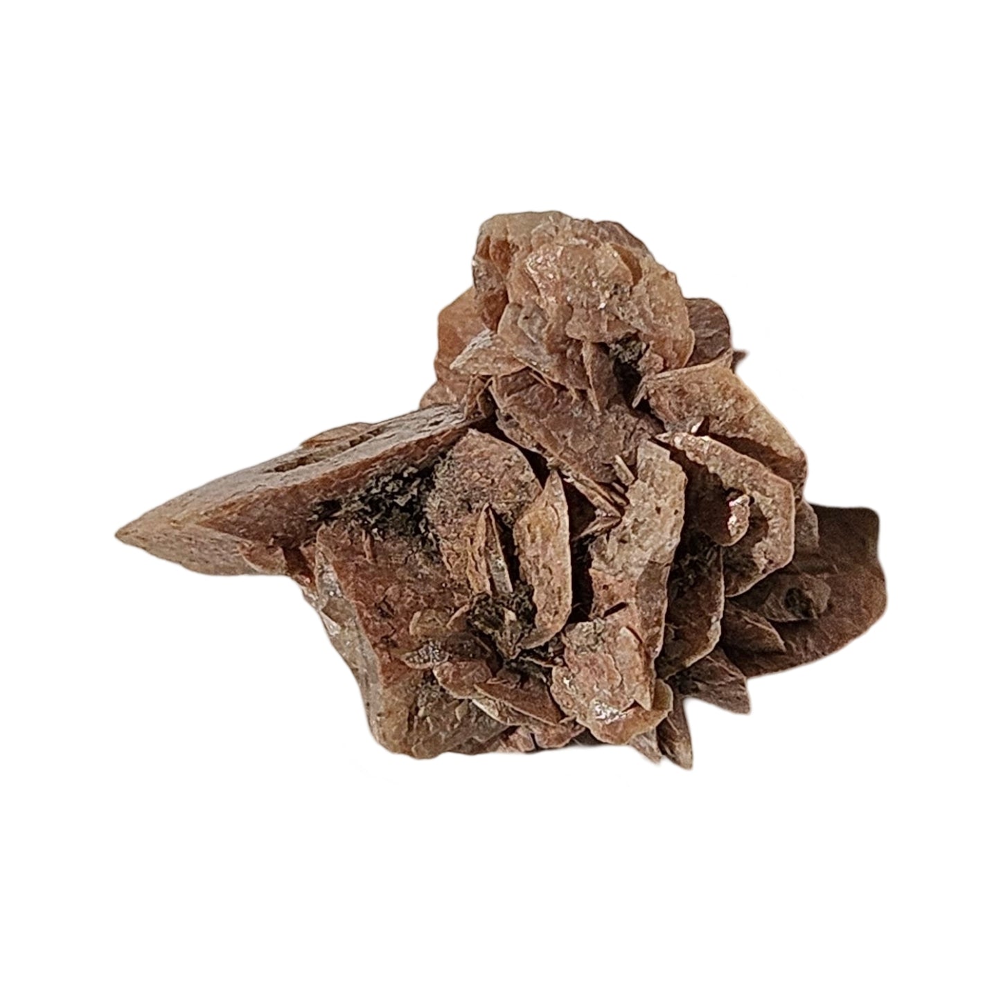 Brown Herderite (2)