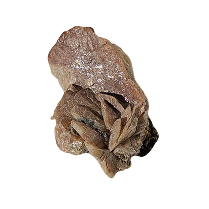 Brown Herderite (4)