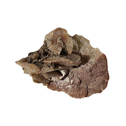 Brown Herderite (4)