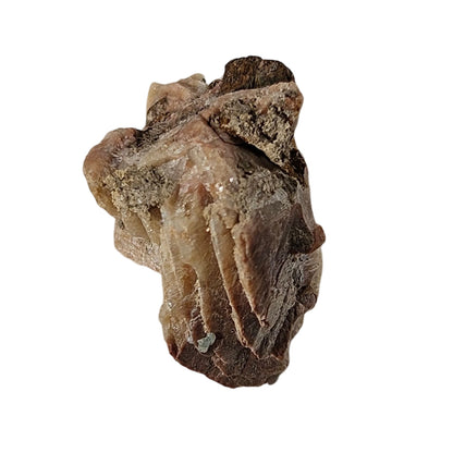 Brown Herderite (3)