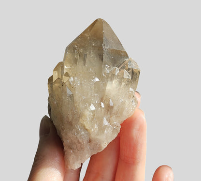 Kundalini Quartz (Joy)