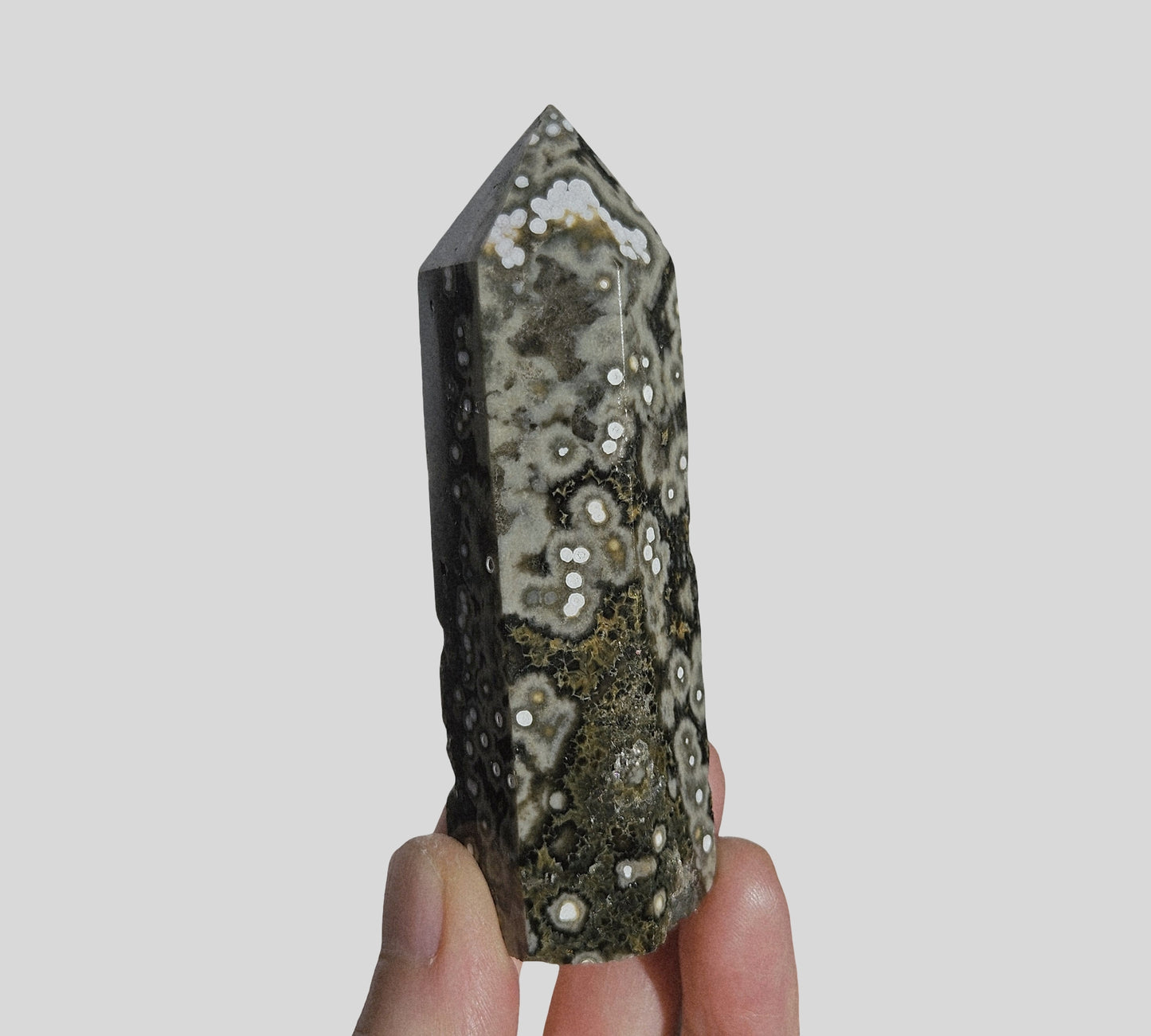 Orbicular Jasper Point