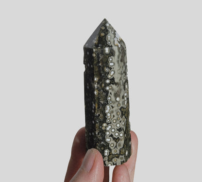 Orbicular Jasper Point