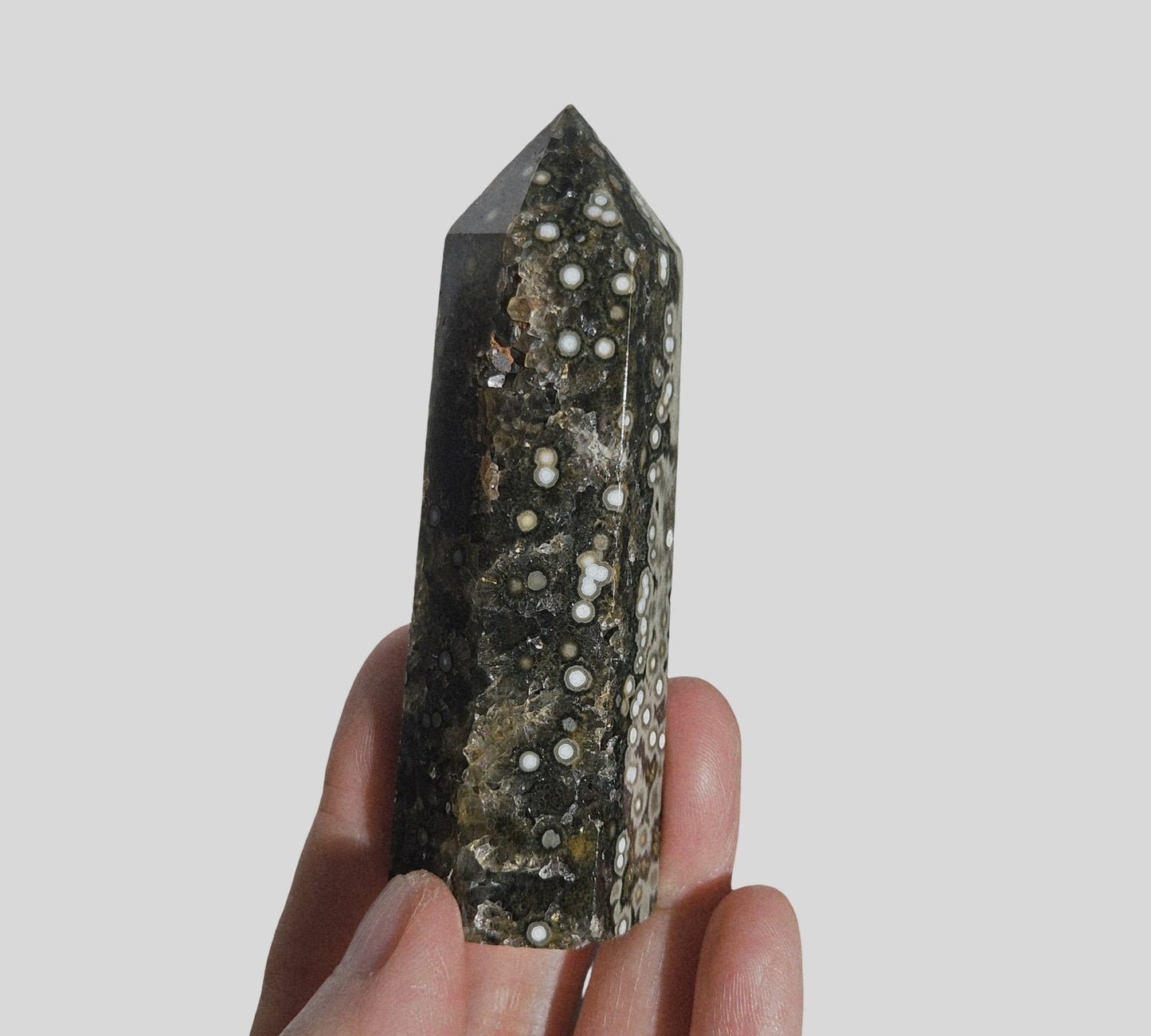 Orbicular Jasper Point