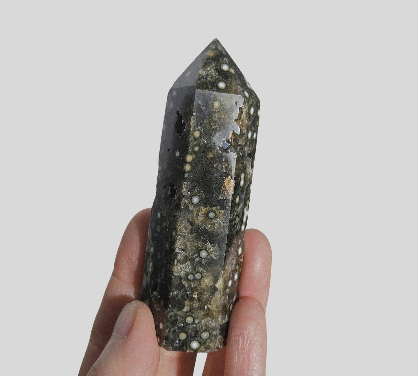 Orbicular Jasper Point