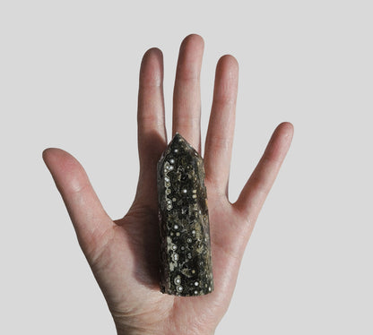 Orbicular Jasper Point