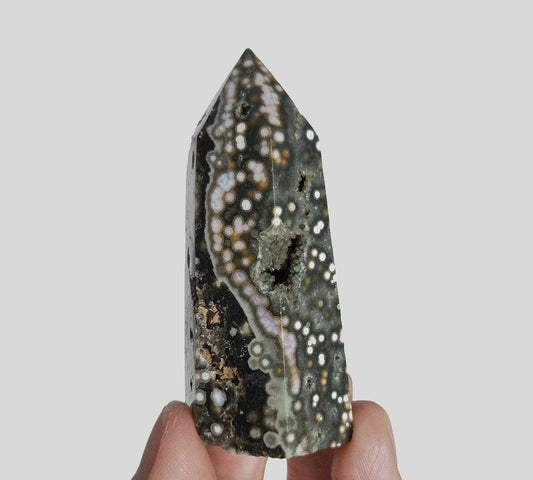 Orbicular Sea Jasper Point