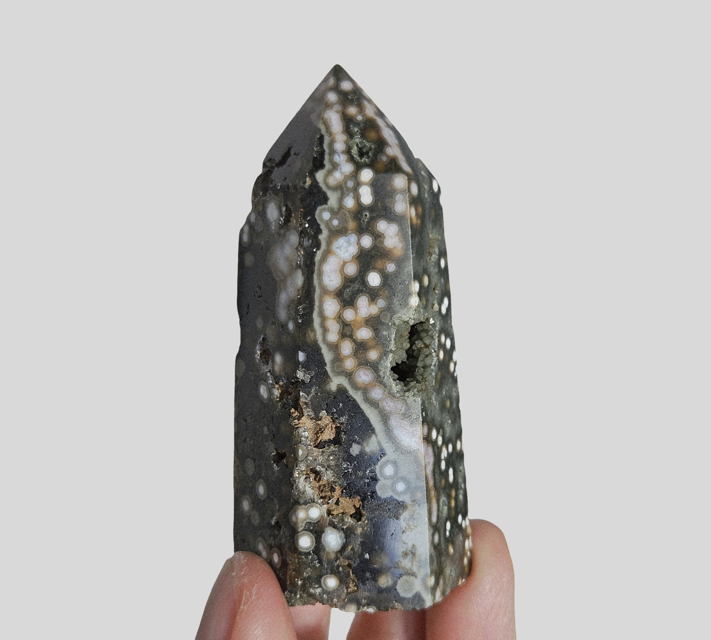 Orbicular Sea Jasper Point
