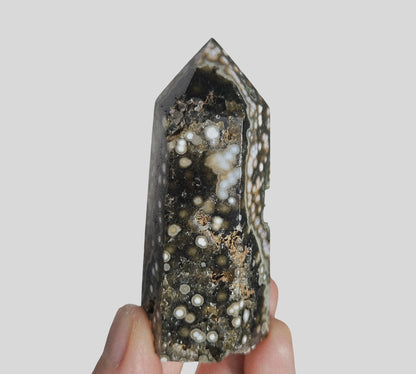 Orbicular Sea Jasper Point