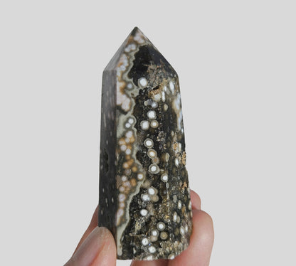 Orbicular Sea Jasper Point