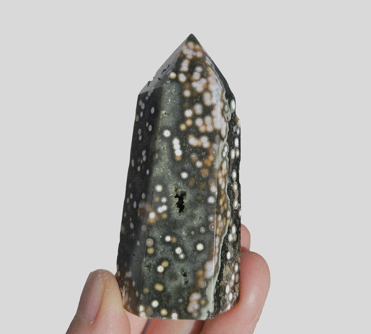 Orbicular Sea Jasper Point
