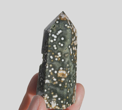 Orbicular Sea Jasper Point