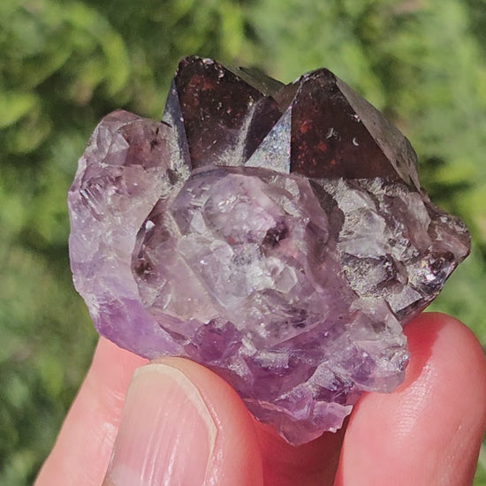 Video of Super 7 Amethyst with Hematite inclusions