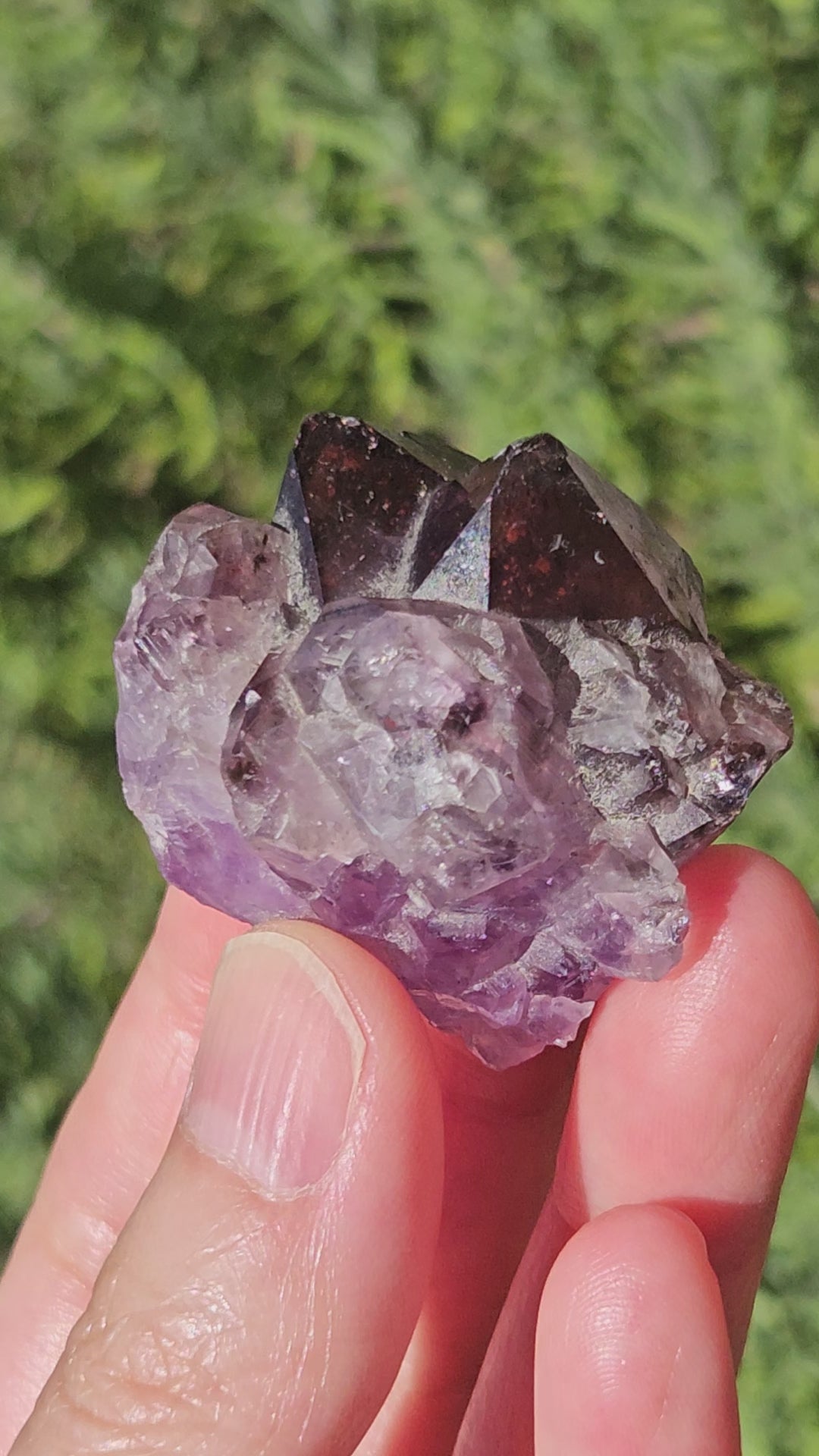 Video of Super 7 Amethyst with Hematite inclusions