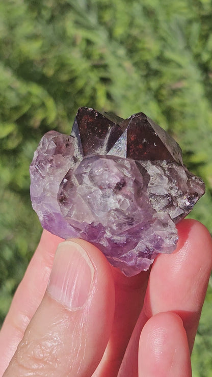 Video of Super 7 Amethyst with Hematite inclusions