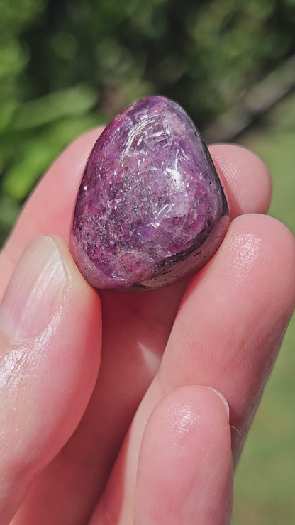 Video of Ruby Tumble