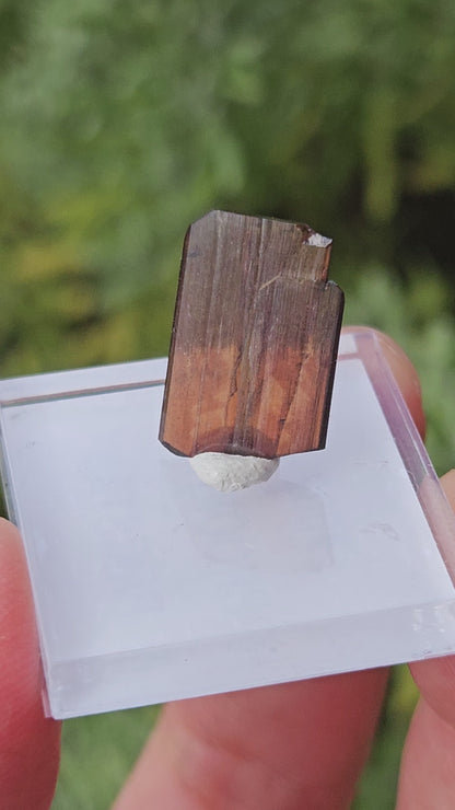 Brookite (0.45g)