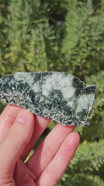 video of seraphinite slice