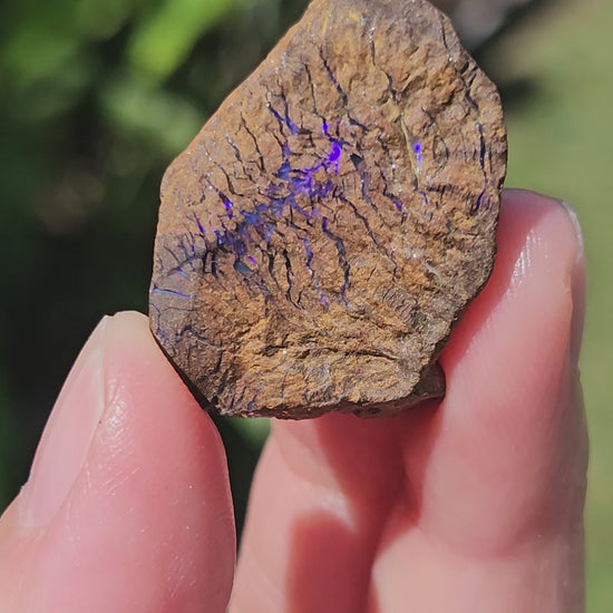 Video of Australian Boulder Opal Rough
