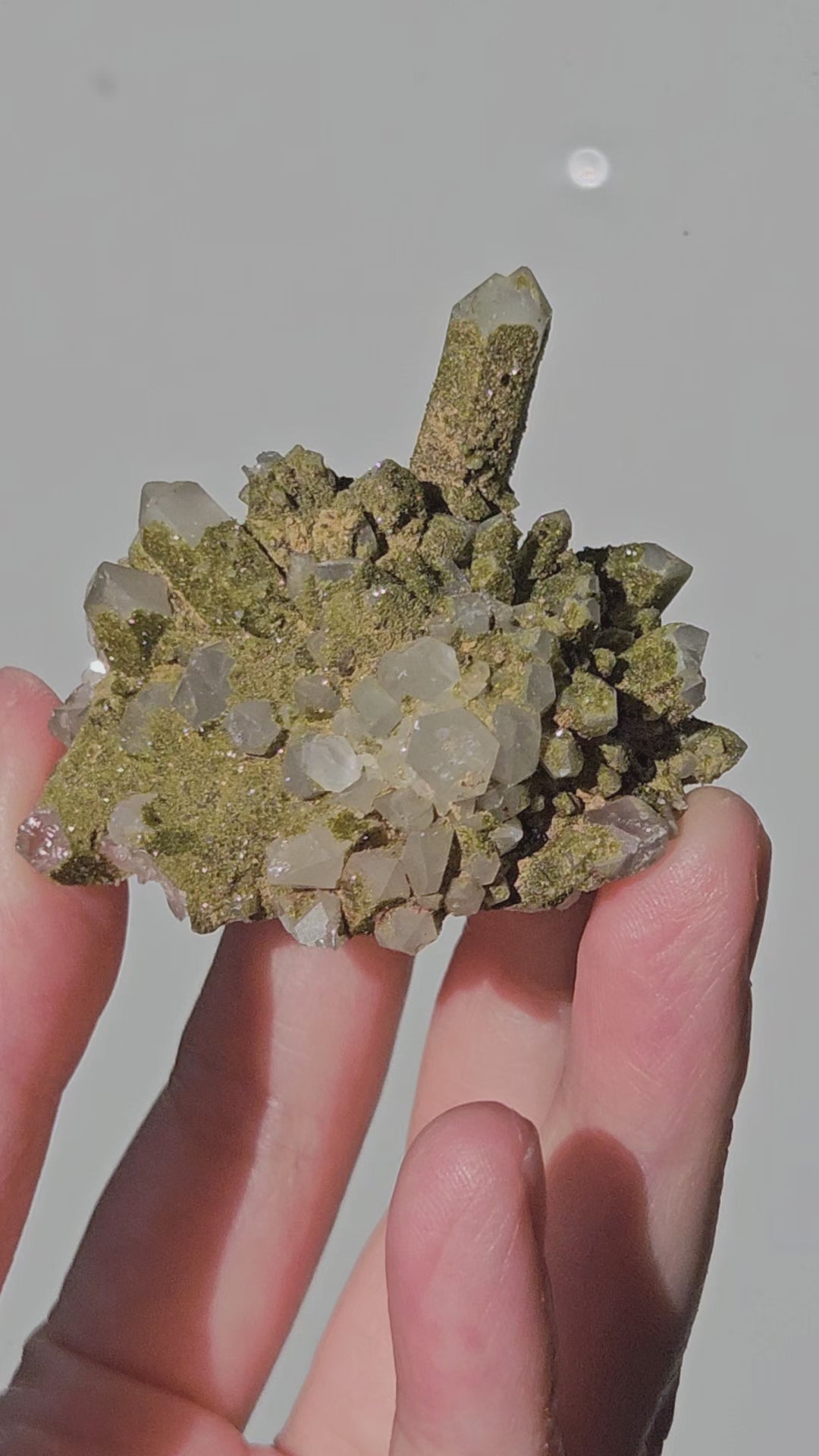 Video of glittery epidote on chlorite quartz from Hakkari, Turkey
