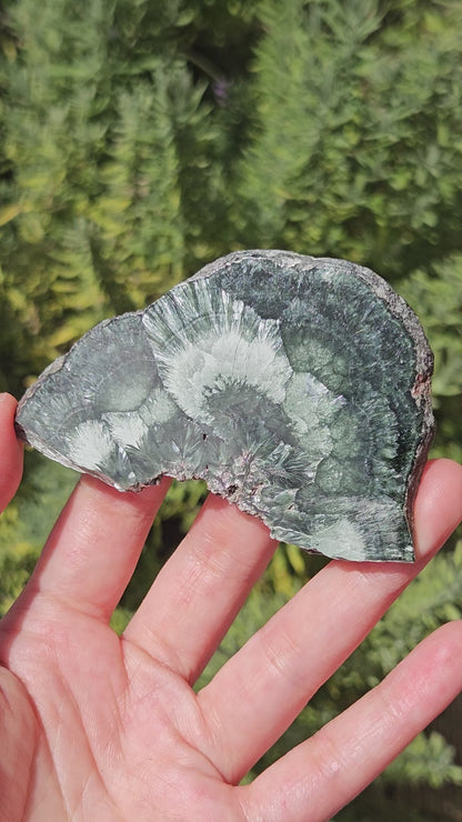 video of seraphinite slice