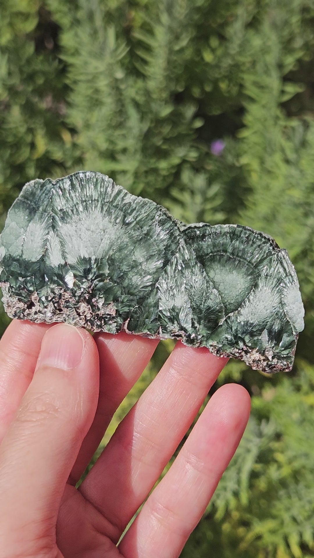 video of seraphinite slice