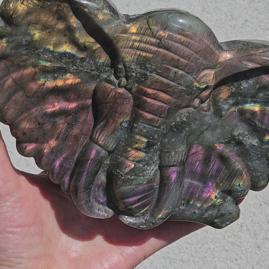 Video of pink orange flash labradorite elephant carving