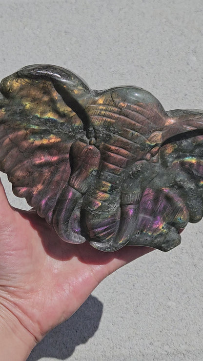 Video of pink orange flash labradorite elephant carving