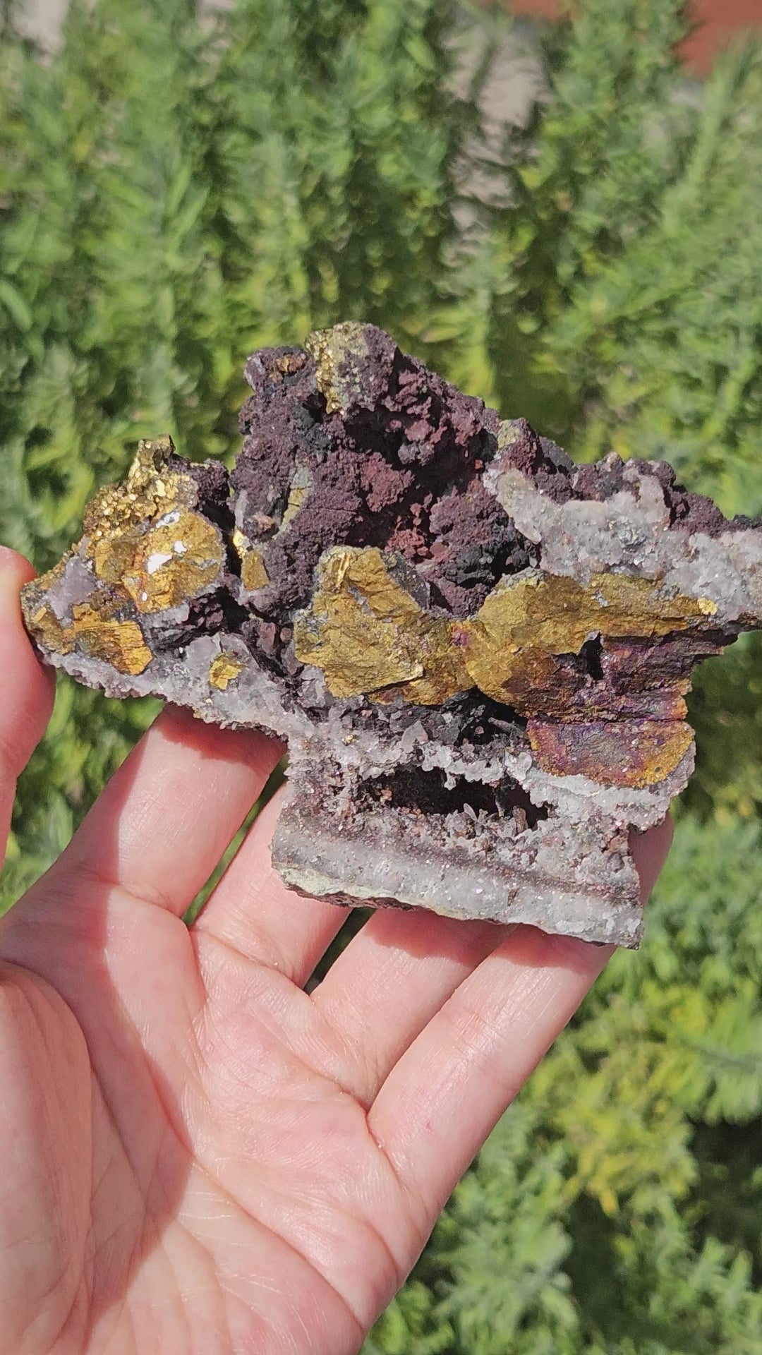 Video of chalcopyrite, galena and hematite on quartz specimen
