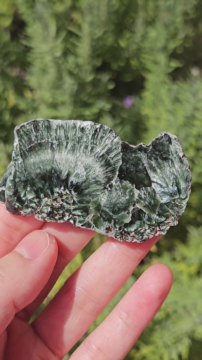 video of seraphinite slice