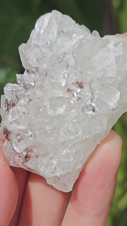 Clear Apophyllite