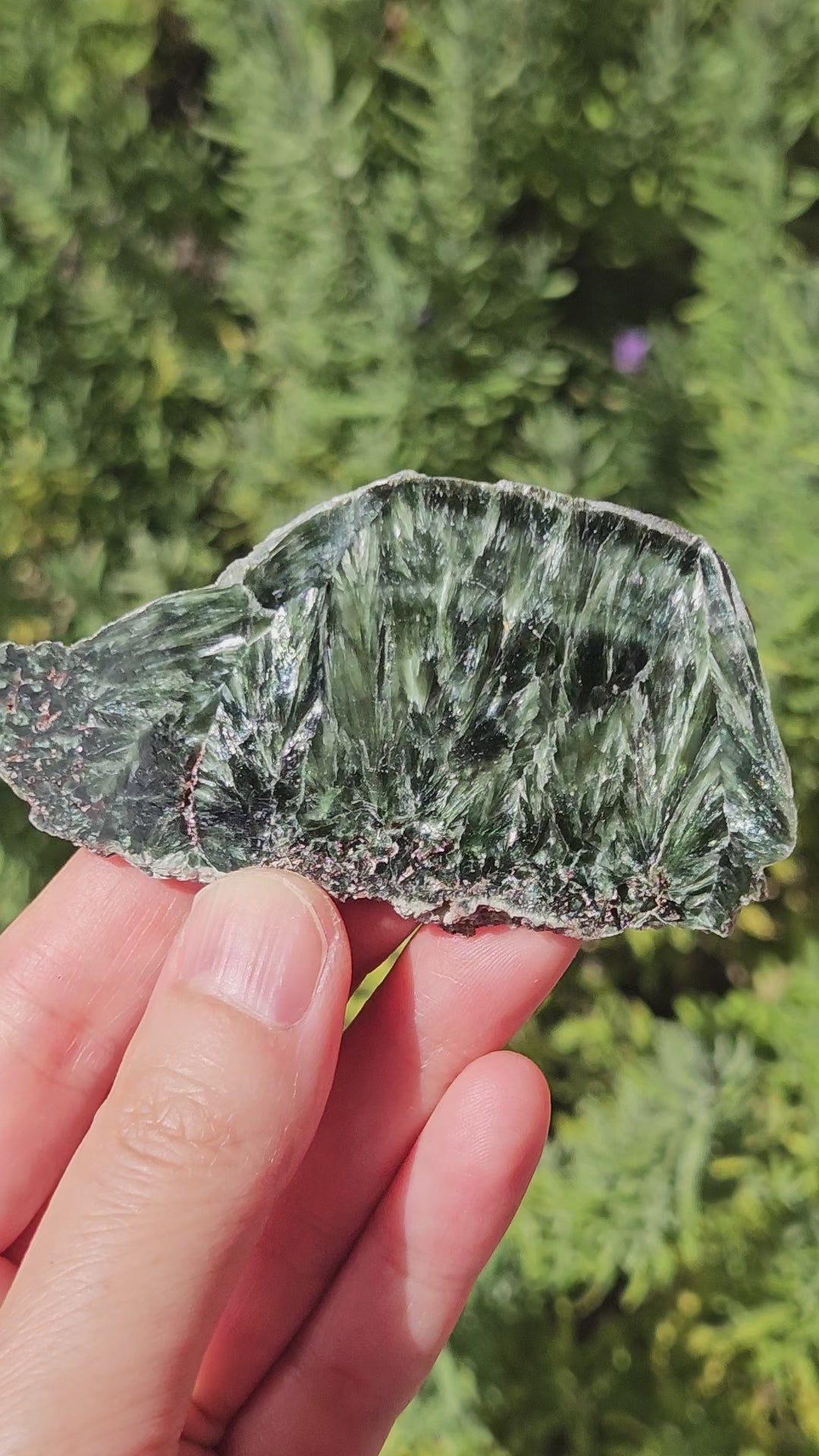 video of seraphinite slice