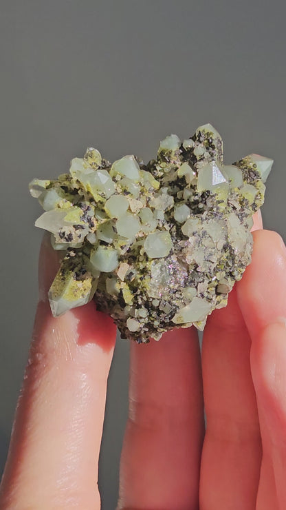Chlorite Quartz with Epidote (3)