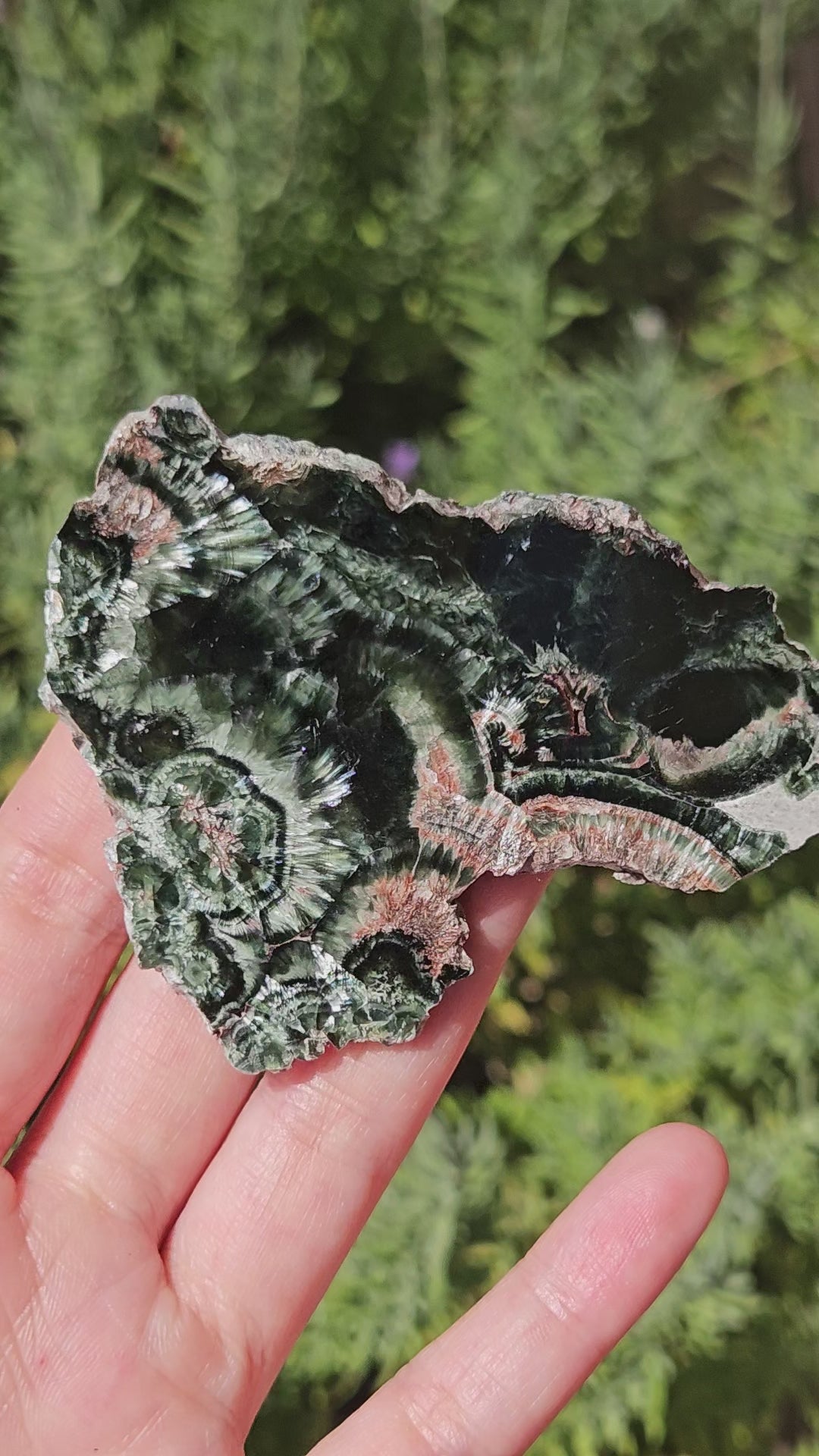 video of seraphinite slice