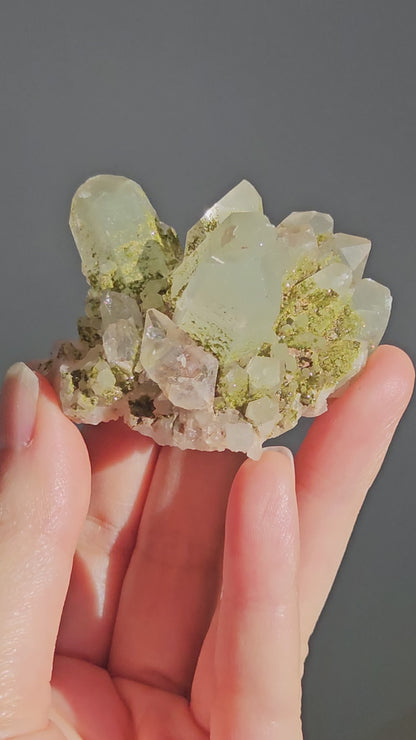 Chlorite Quartz with Epidote (4)