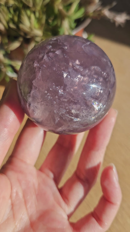 Mica in Fluorite Sphere (5cm)