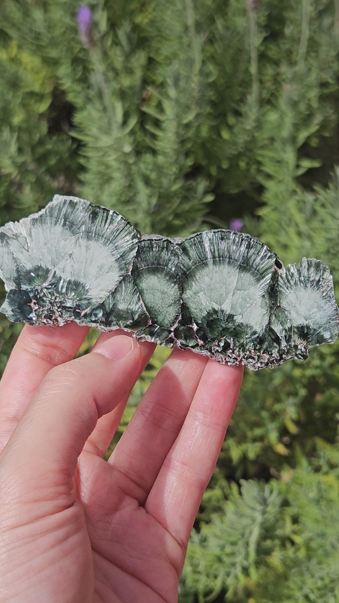 video of seraphinite slice