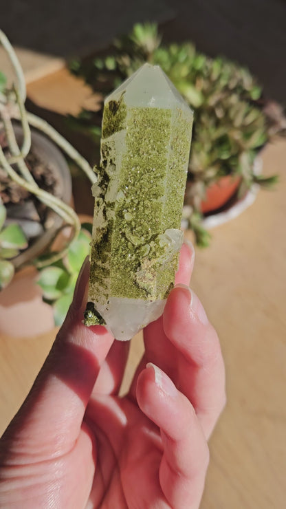 Double Terminated Quartz with Sparkly Epidote