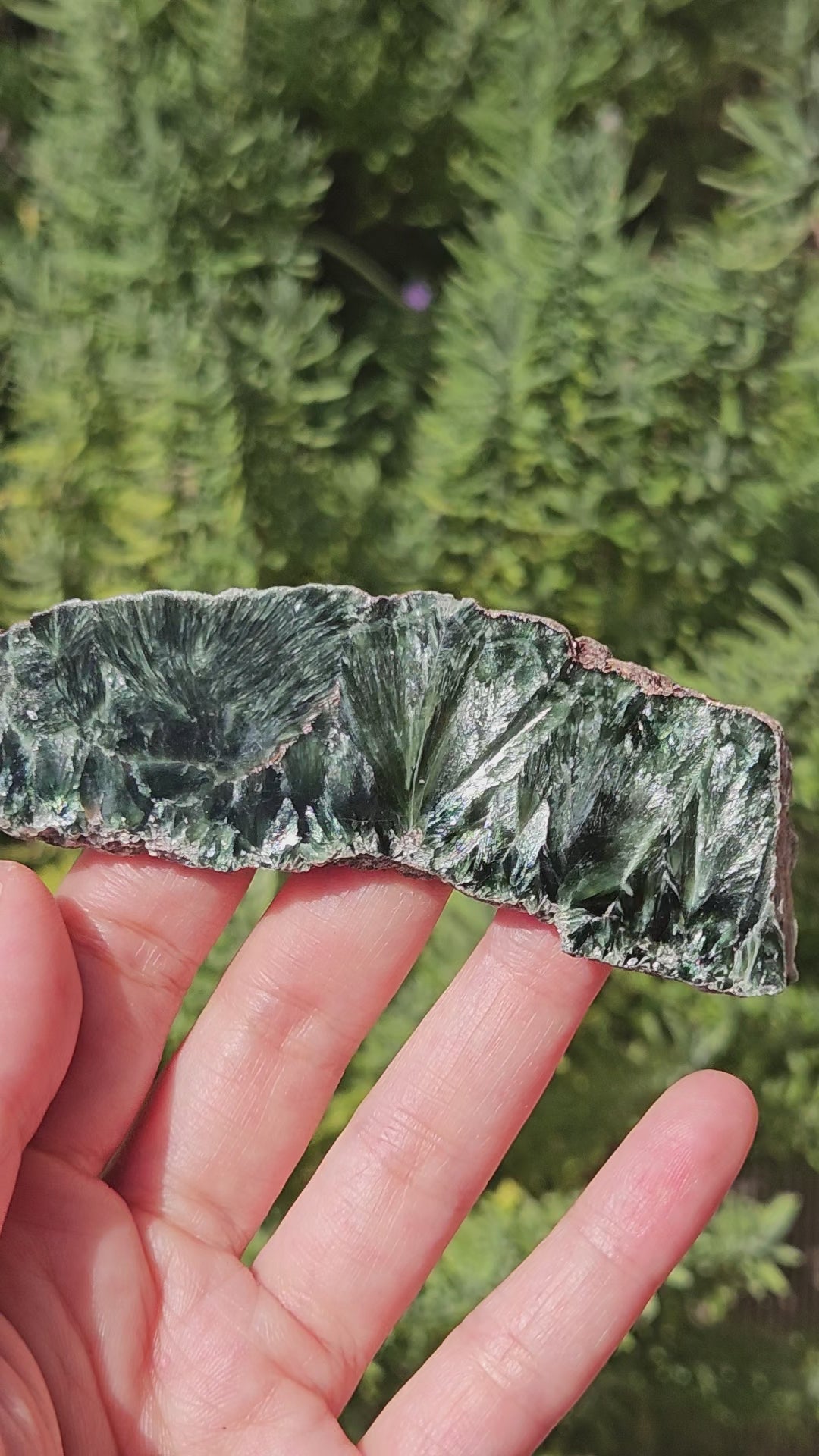 video of seraphinite slice