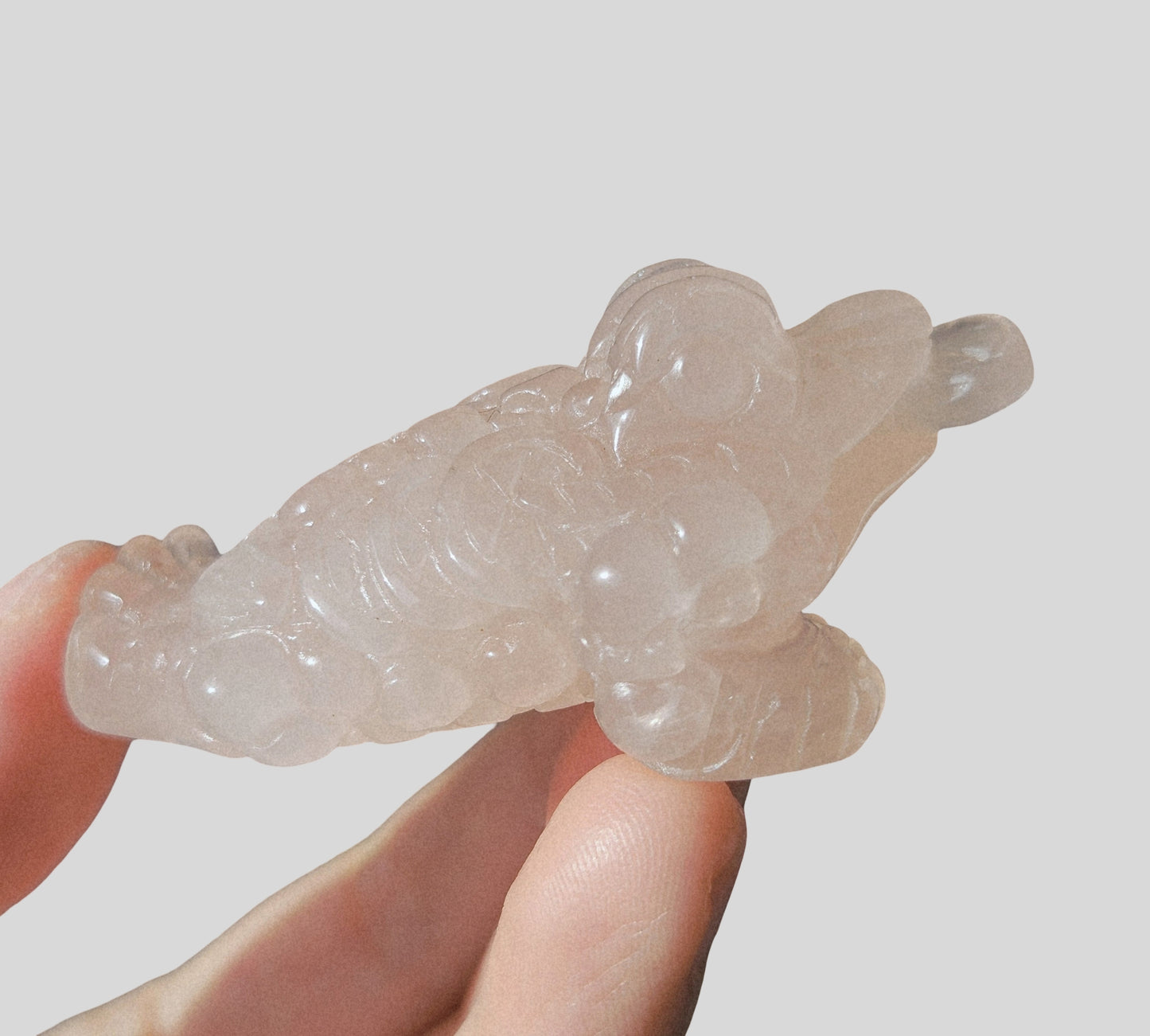 Rose Quartz Money Toad