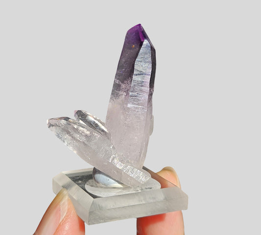 Vera Cruz Amethyst