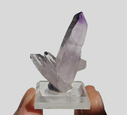 Vera Cruz Amethyst